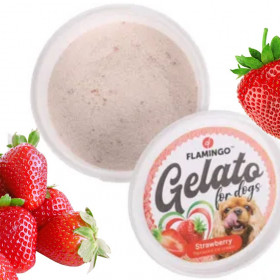 Италиански сладолед за кучета  FLAMINGO Snack Gelato ice cream с вкус на ягода